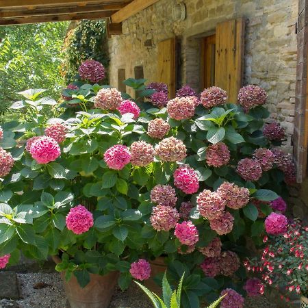Casa La Valle, Gubbio, Frazione Santa Cristina Bed & Breakfast Ngoại thất bức ảnh