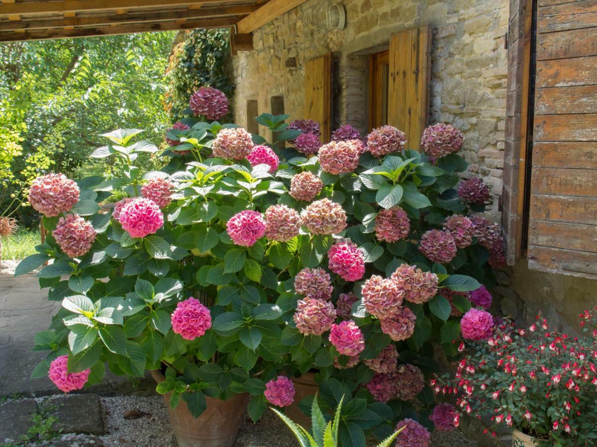 Casa La Valle, Gubbio, Frazione Santa Cristina Bed & Breakfast Ngoại thất bức ảnh